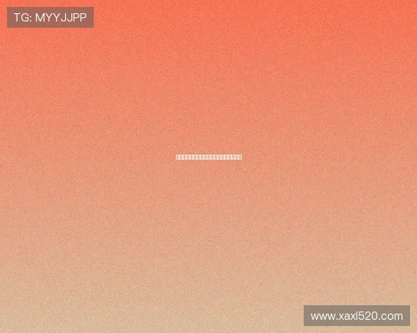 二零二六世界杯期间北美各大机场的保障赛